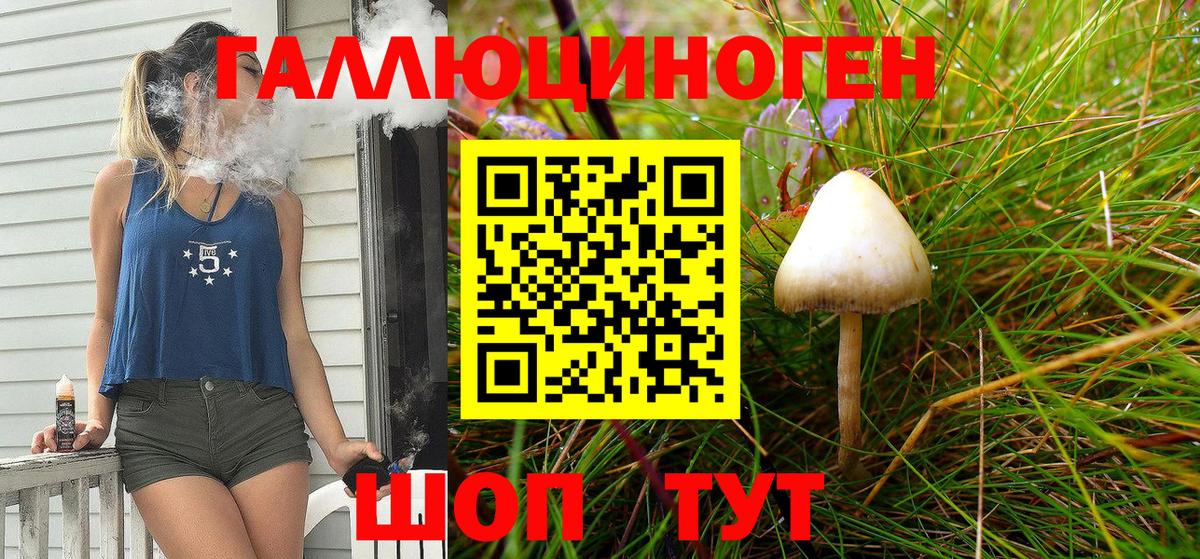 Галлюциногенные грибы MAGIC MUSHROOMS  Вход с VPN  Клинцы  Псилоцибиновые грибы Cubensis 